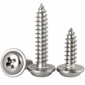 SS PAN PHILIP HEAD SCREW
