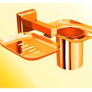 SOAP DISH & TUMBLER HOLDER